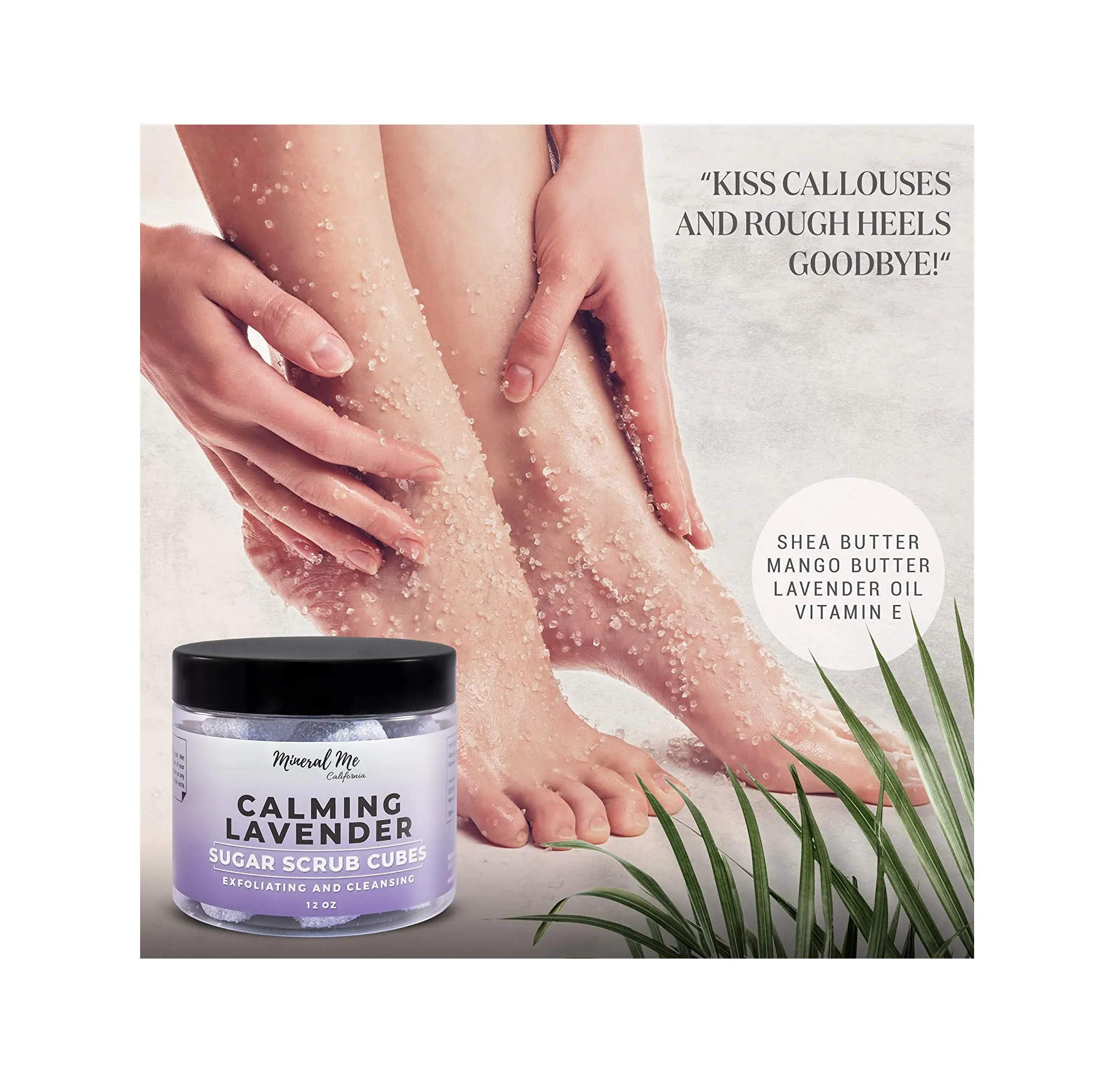 Exfoliating Body Scrub 12oz LAVENDER Sugar scrub cubes w/Mango Butter & Shea butter- Ultra Hydrating & Moisturizing - All Natural & Organic for all body exfoliation-For hands arms legs elbow & foot