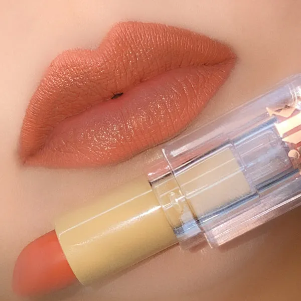 Nude 6 (Deep Rosy Nude) Matte Lipstick by Fernando Hervas